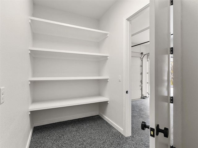 walk in closet with carpet