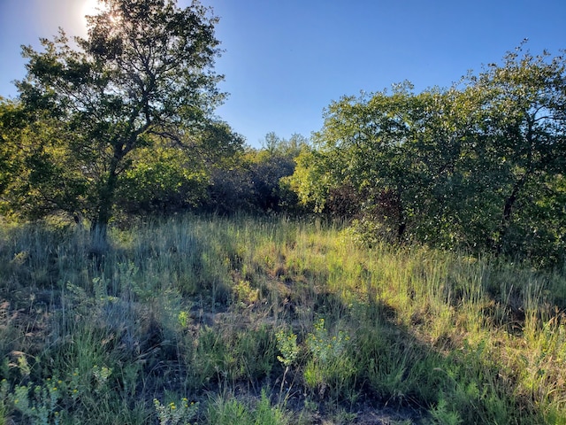 Listing photo 2 for LOT475 Creekside Dr, Bowie TX 76230