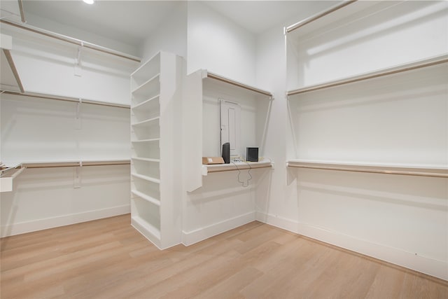 spacious closet with wood-type flooring