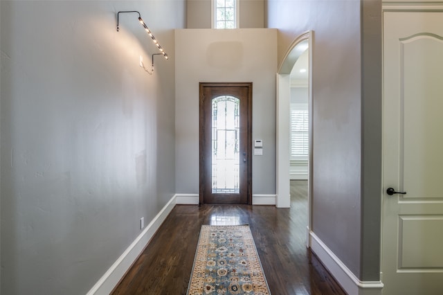 foyer with a healthy amount of sunlight and dark wood-type flooring