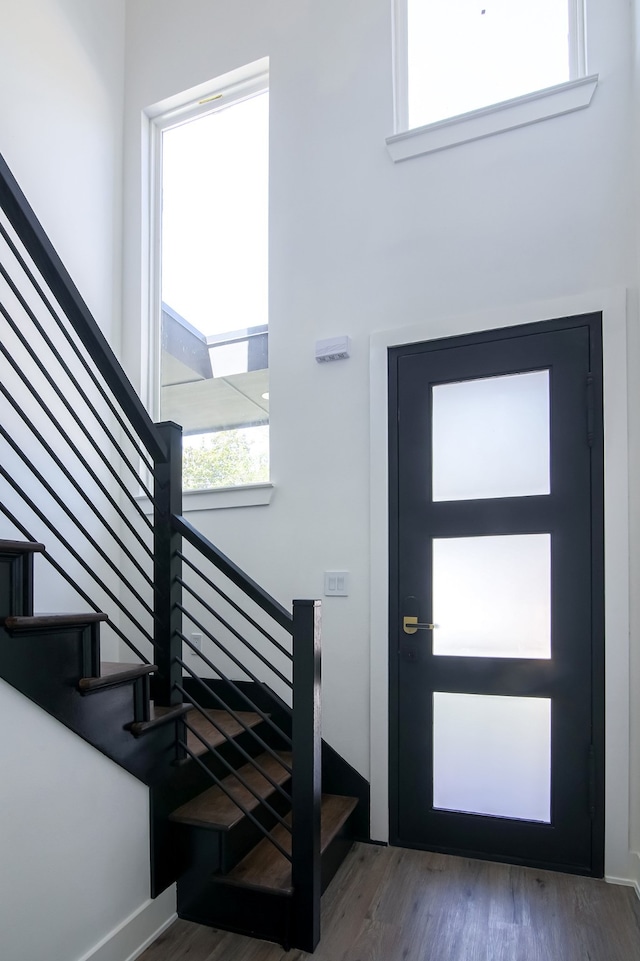 foyer entrance featuring dark wood-type flooring