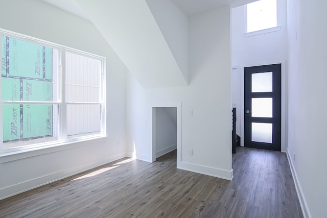 foyer with lofted ceiling and dark hardwood / wood-style floors