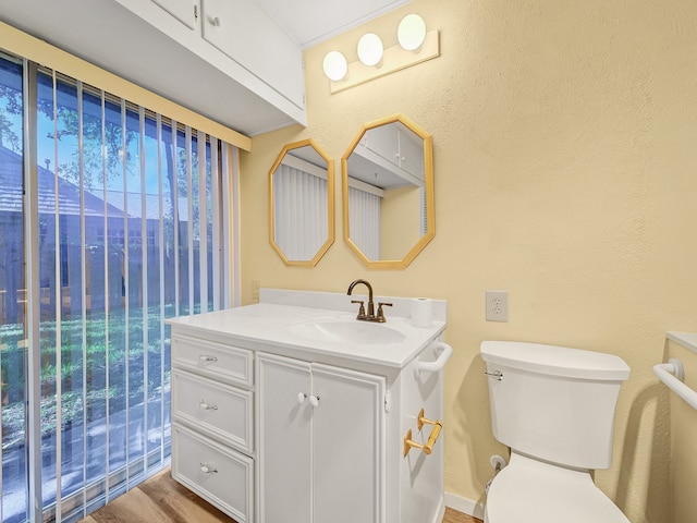 bathroom with wood-type flooring, vanity, and toilet