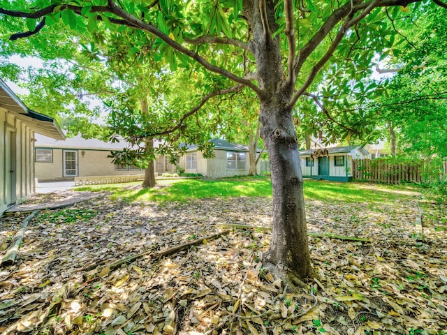 view of yard featuring a storage shed and a patio area