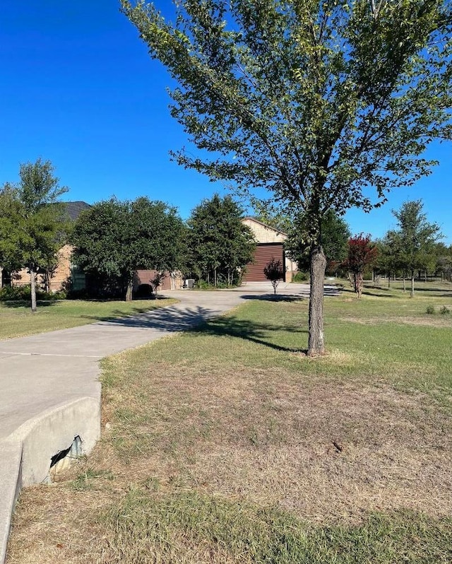 view of yard with concrete driveway