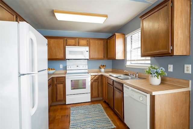 kitchen featuring sink, dark hardwood / wood-style flooring, and white appliances