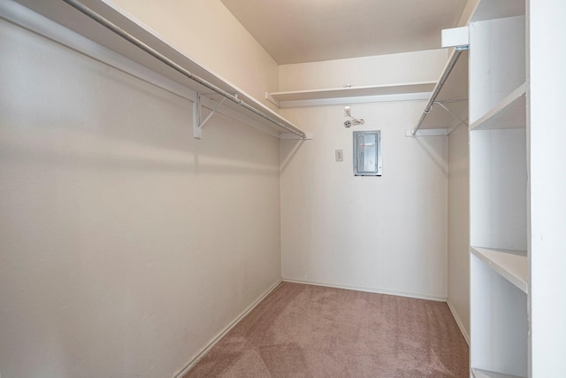 spacious closet featuring carpet and electric panel