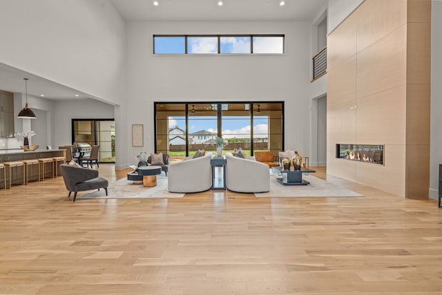 living room featuring a fireplace and light hardwood / wood-style flooring