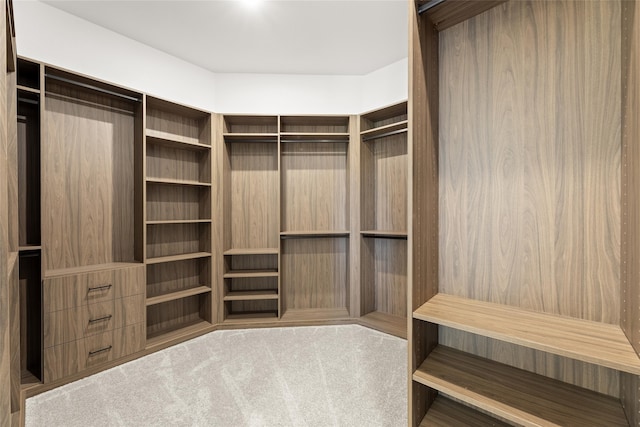 spacious closet featuring light carpet