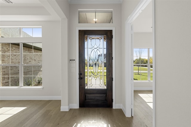 foyer featuring light hardwood / wood-style floors and a wealth of natural light