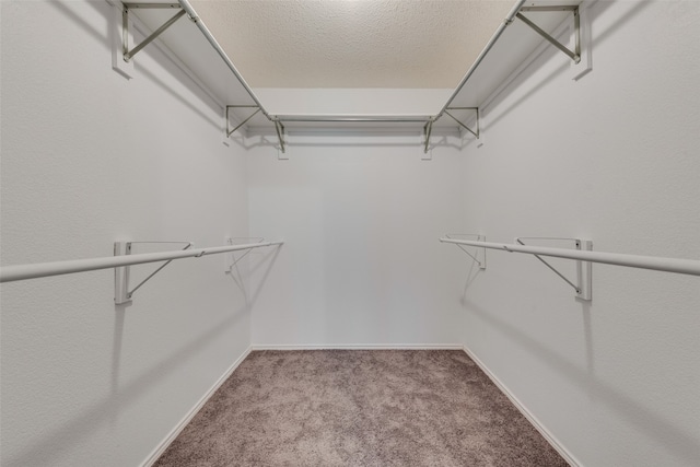 walk in closet featuring carpet flooring