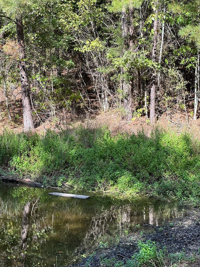 view of landscape featuring a water view