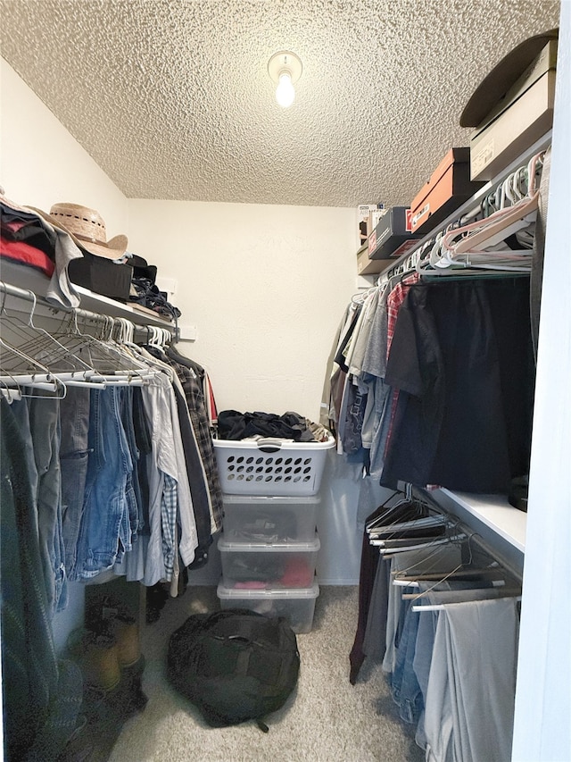 spacious closet featuring carpet floors