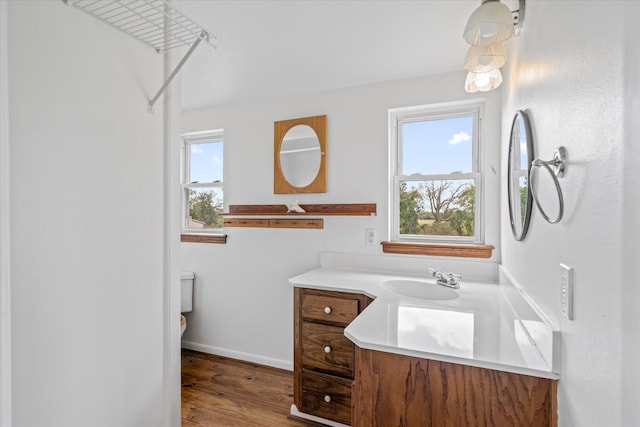 bathroom featuring vanity, hardwood / wood-style floors, and toilet