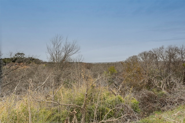 view of local wilderness