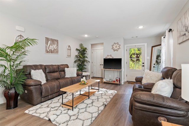 living room featuring wood-type flooring