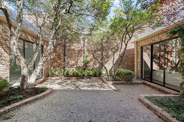 view of yard with a patio area