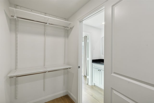 spacious closet featuring light hardwood / wood-style flooring