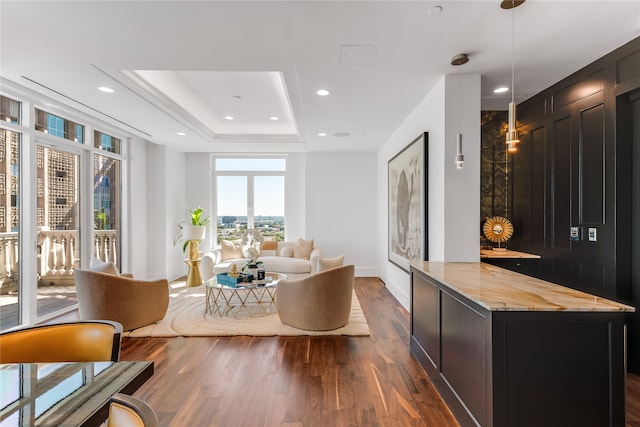 living room featuring a raised ceiling and dark wood-type flooring