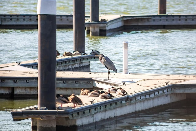 view of dock featuring a water view