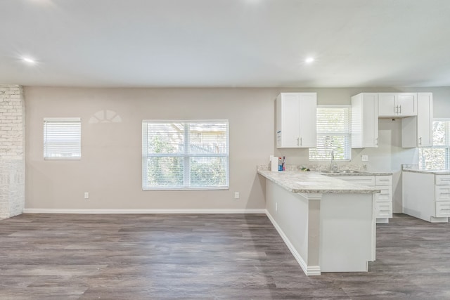 interior space featuring sink and dark hardwood / wood-style floors