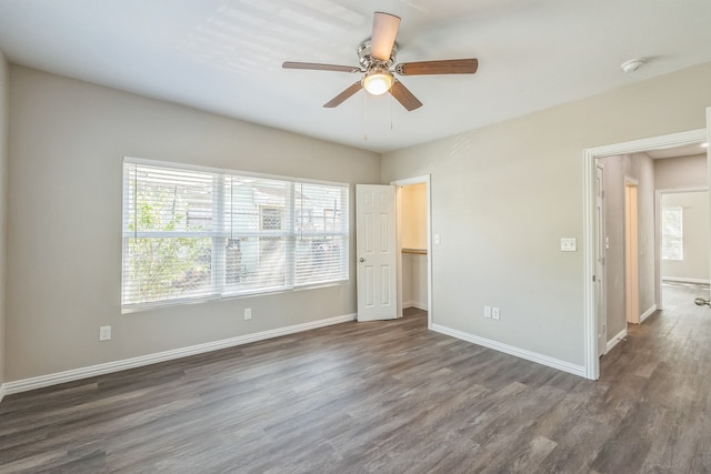 unfurnished bedroom with a closet, ceiling fan, a walk in closet, and dark hardwood / wood-style flooring