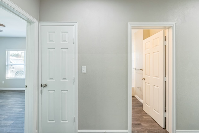 empty room with ceiling fan and dark hardwood / wood-style floors