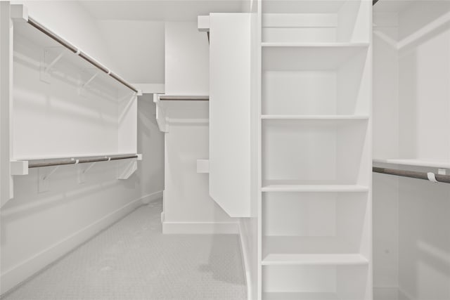 spacious closet with carpet