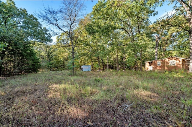 view of yard featuring a storage shed