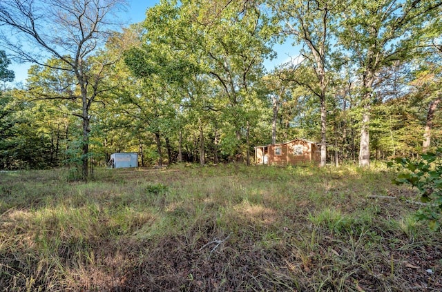 view of yard with a storage unit