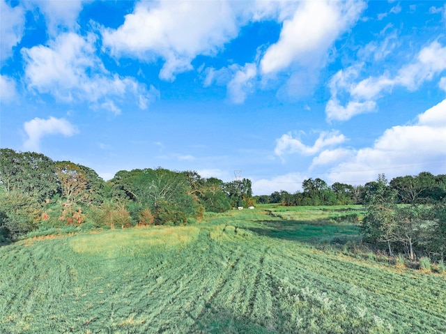 view of landscape with a rural view