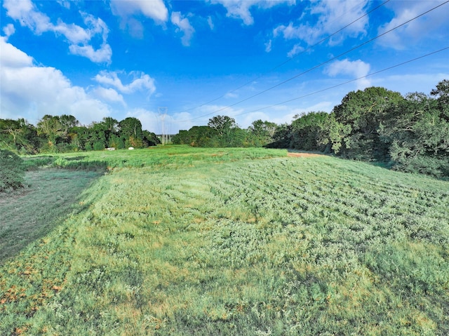 view of yard featuring a rural view