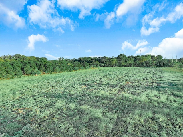 view of landscape with a rural view