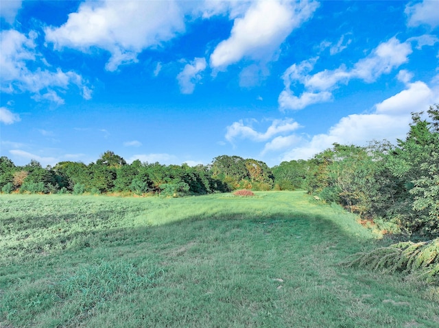 view of local wilderness with a rural view