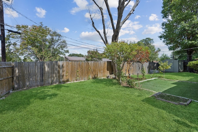 view of yard featuring a shed