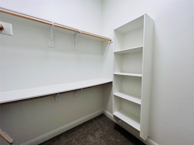 spacious closet with dark carpet