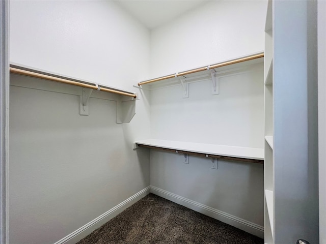 spacious closet featuring dark colored carpet