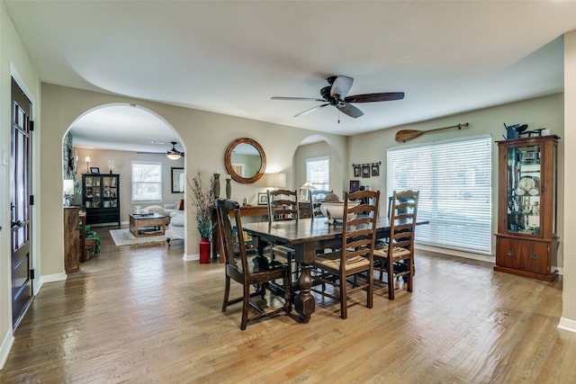 dining space with ceiling fan and light hardwood / wood-style flooring