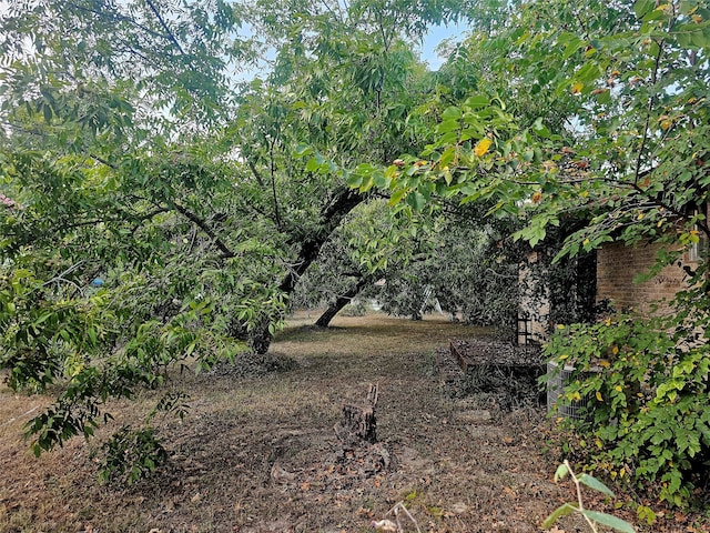 view of landscape