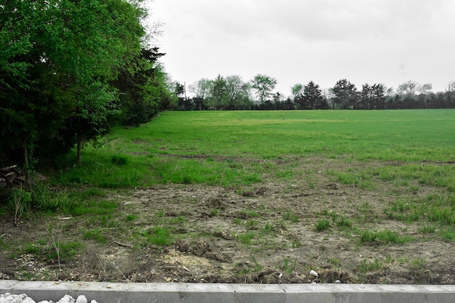 view of landscape featuring a rural view