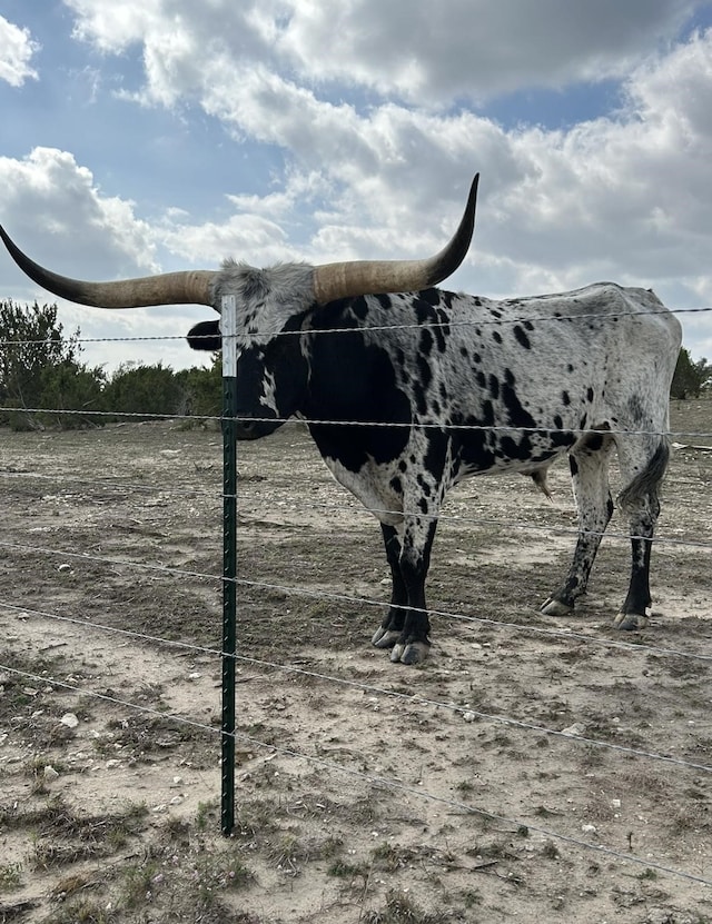 1050 Buffalo Ridge Dr, Stephenville, TX 76401