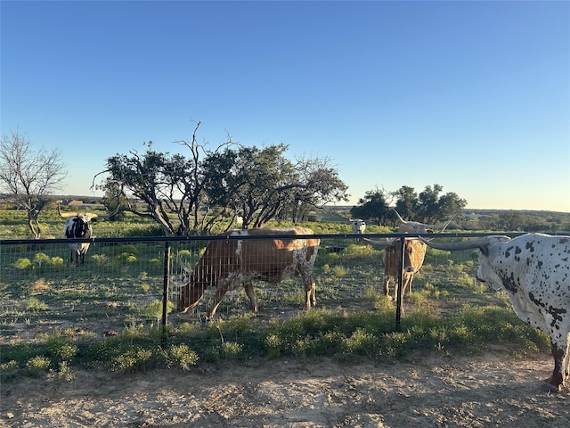1050 Buffalo Ridge Dr, Stephenville, TX 76401