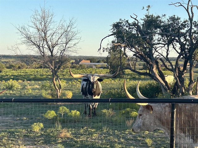 1050 Buffalo Ridge Dr, Stephenville, TX 76401
