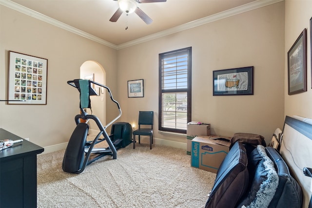 workout room with carpet, crown molding, and ceiling fan