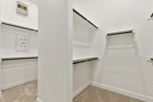 spacious closet with light carpet