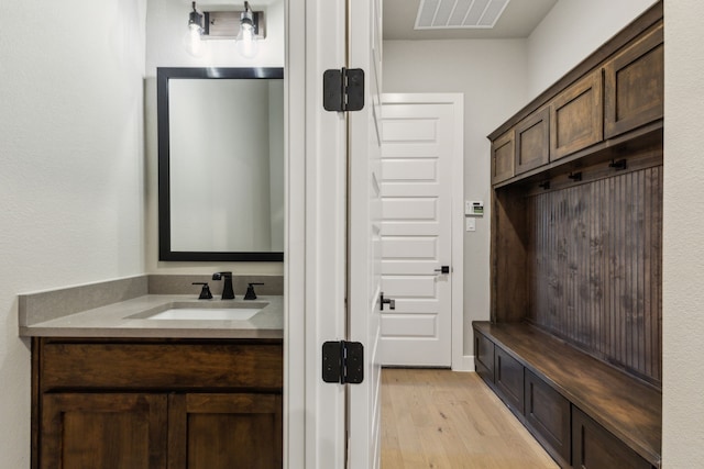 bathroom featuring wood-type flooring and vanity