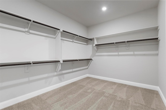 walk in closet featuring carpet