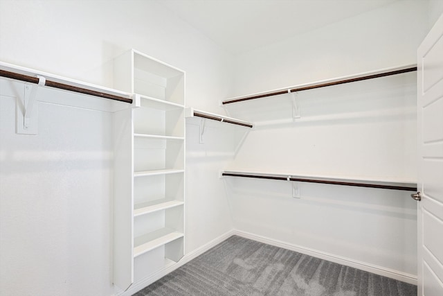 spacious closet featuring light carpet