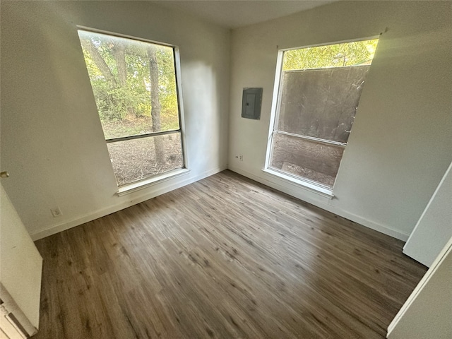 empty room with a wealth of natural light, electric panel, and hardwood / wood-style flooring