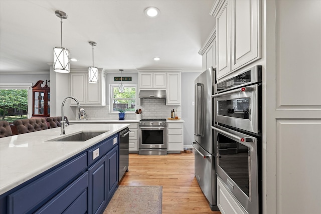 kitchen with stainless steel appliances, blue cabinets, a healthy amount of sunlight, and sink